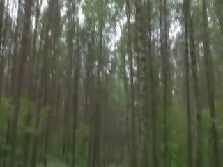 Erba succhiare putz in il foresta